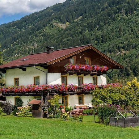 Haus Knapp Nette 4Er Fewo Διαμέρισμα Dorfgastein Εξωτερικό φωτογραφία