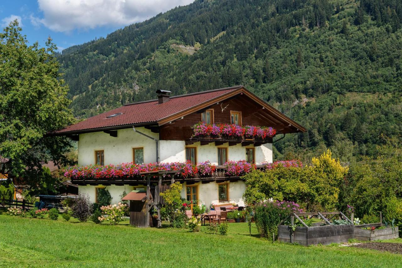 Haus Knapp Nette 4Er Fewo Διαμέρισμα Dorfgastein Εξωτερικό φωτογραφία