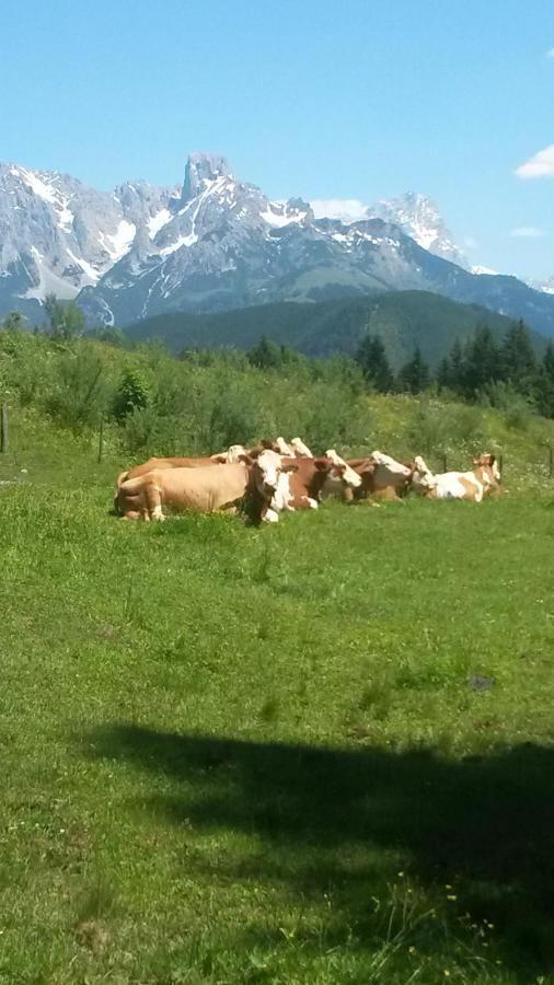 Haus Knapp Nette 4Er Fewo Διαμέρισμα Dorfgastein Δωμάτιο φωτογραφία